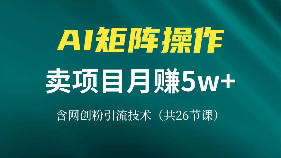 (13335期)网创IP打造课,借助AI卖项目月赚5万+,含引流技术(共26节课)-大可网创