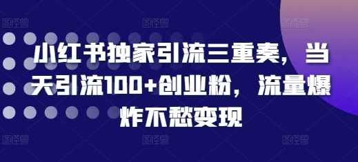 小红书独家引流三重奏,当天引流100+创业粉,流量爆炸不愁变现【揭秘】-大可网创