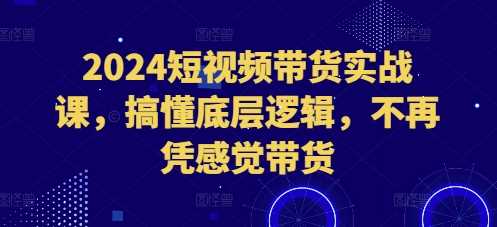 2024短视频带货实战课,搞懂底层逻辑,不再凭感觉带货-大可网创