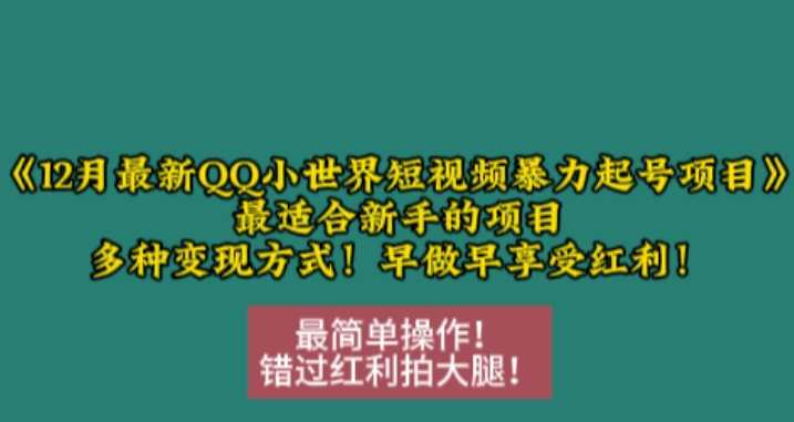 12月最新QQ小世界短视频暴力起号项目,最适合新手的项目,多种变现方式-大可网创