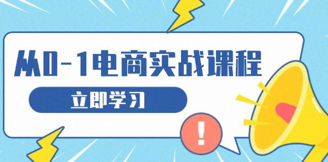 (13594期)从零做电商实战课程,教你如何获取访客、选品布局,搭建基础运营团队-大可网创