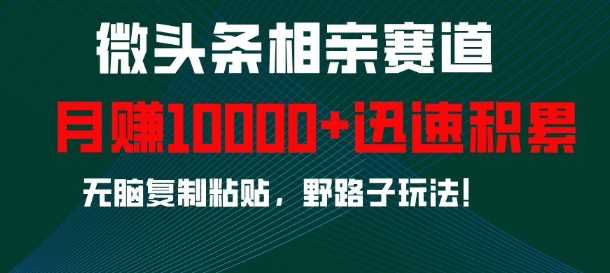微头条相亲赛道,迅速积累,无脑复制粘贴,野路子玩法,月入1w-大可网创