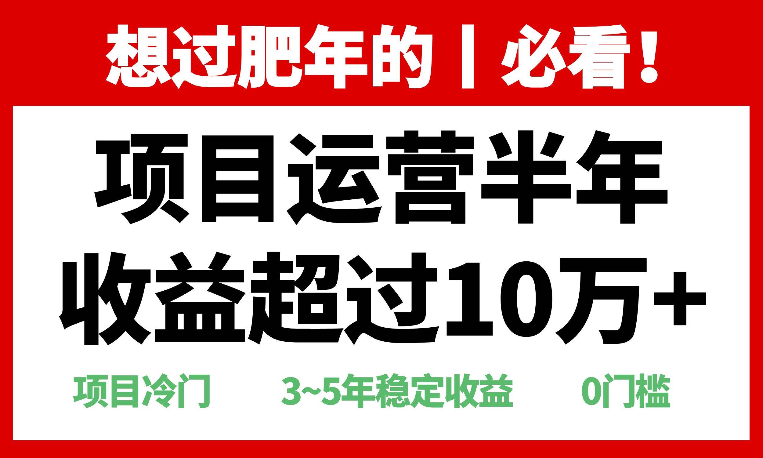 (13663期)年前过肥年的必看的超冷门项目,半年收益超过10万+,-大可网创