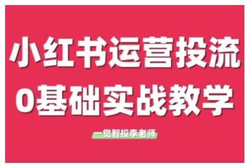 小红书运营投流,小红书广告投放从0到1的实战课,学完即可开始投放-大可网创