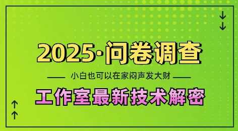 2025问卷调查最新工作室技术解密:一个人在家也可以闷声发大财,小白一天2张,可矩阵放大【揭秘】-大可网创
