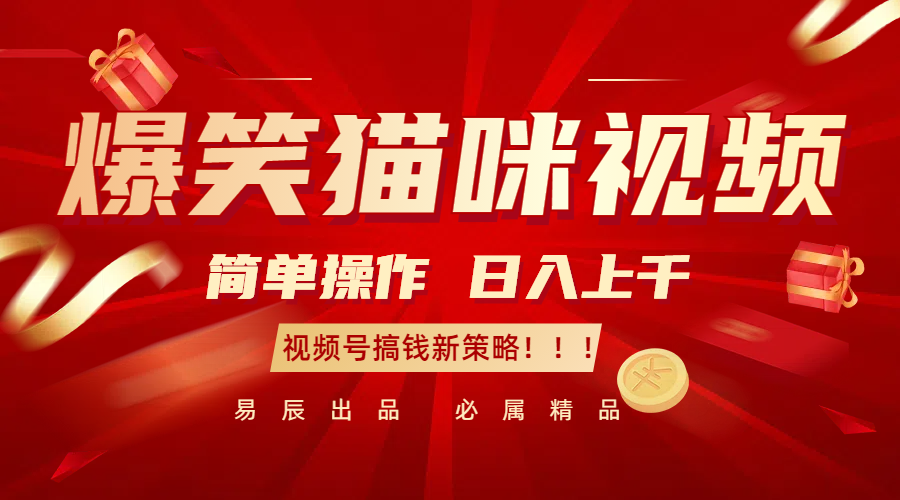 爆笑猫咪视频:简单操作,日入过千,视频号搞钱新策略!-大可网创