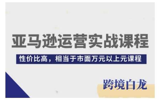 亚马逊运营实战课程,亚马逊从入门到精通,性价比高,相当于市面万元以上元课程-大可网创