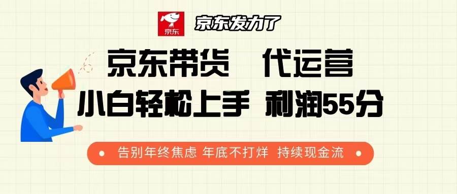 (13833期)京东带货 代运营 利润55分 告别年终焦虑 年底不打烊 持续现金流-大可网创