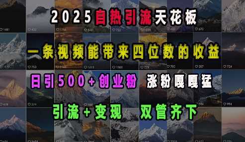 2025自热引流天花板,一条视频能带来四位数的收益,引流+变现双管齐下,日引500+创业粉,涨粉嘎嘎猛-大可网创