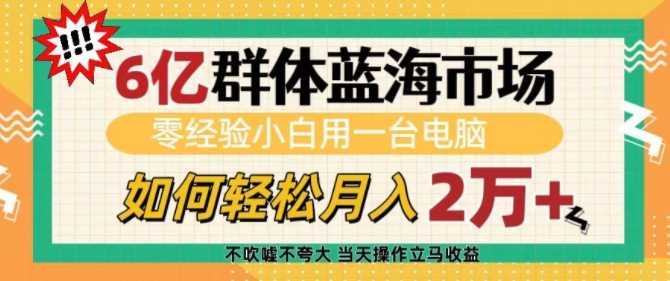 6亿群体蓝海市场,零经验小白用一台电脑,如何轻松月入过w【揭秘】-大可网创