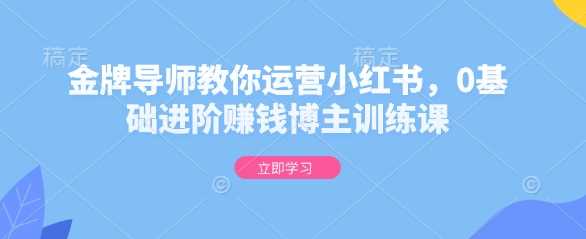 金牌导师教你运营小红书,0基础进阶赚钱博主训练课-大可网创