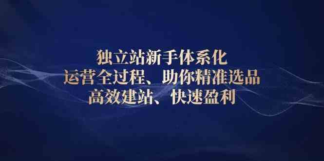 独立站新手体系化 运营全过程,助你精准选品、高效建站、快速盈利-大可网创