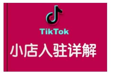 TikTok跨境小店运营全攻略,帮助你独立运营TK跨境小店的能力,实现销量增长-大可网创