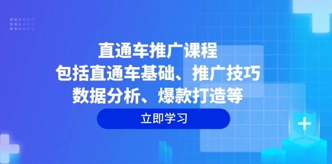 (14001期)直通车推广课程:包括直通车基础、推广技巧、数据分析、爆款打造等-大可网创