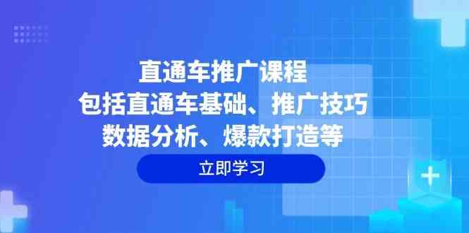 直通车推广课程:包括直通车基础、推广技巧、数据分析、爆款打造等-大可网创