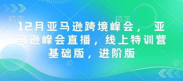 12月亚马逊跨境峰会, 亚马逊峰会直播,线上特训营基础版,进阶版-大可网创