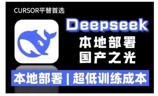 2025年deepseek R1 大型模型本地安装部署(文件+教程)本地部署,超低训练成本-大可网创