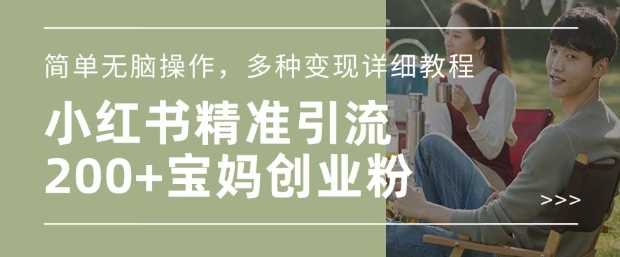 小红书混剪日引200+宝妈创业粉,简单无脑操作,多种变现详细教程-大可网创