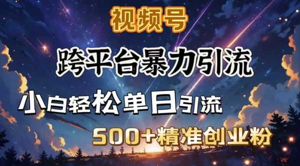 跨平台暴力引流,私域完美闭环,日引500+精准创业粉-大可网创