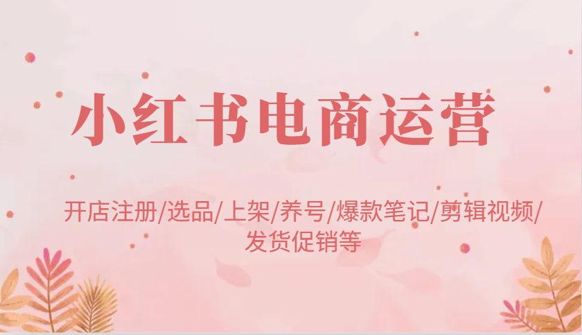 小红书电商运营:开店注册/选品/上架/养号/爆款笔记/剪辑视频/发货促销等-大可网创