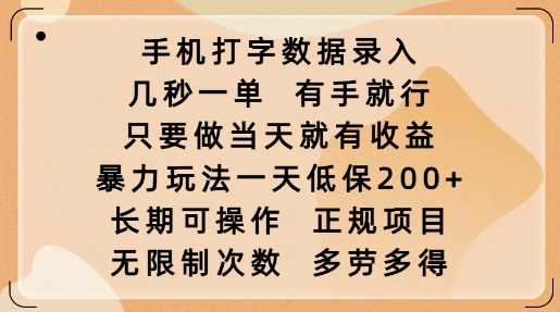 手机打字数据录入,几秒一单,有手就行,只要做当天就有收益,暴力玩法一天低保2张-大可网创