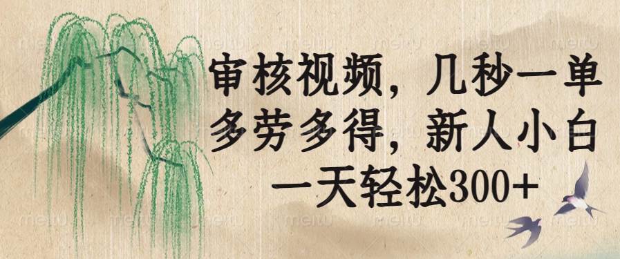 (14202期)审核视频,几秒一单,多劳多得,新人小白一天轻松300+-大可网创