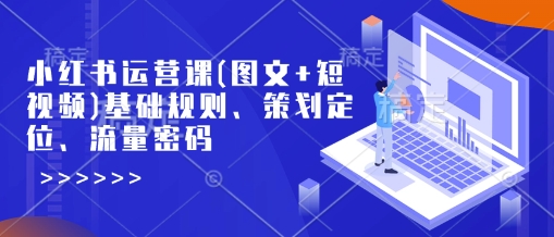 小红书运营课(图文+短视频)基础规则、策划定位、流量密码-大可网创