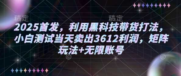 2025首发,利用黑科技带货打法,小白测试当天卖出3612利润,矩阵玩法+无限账号【揭秘】-大可网创