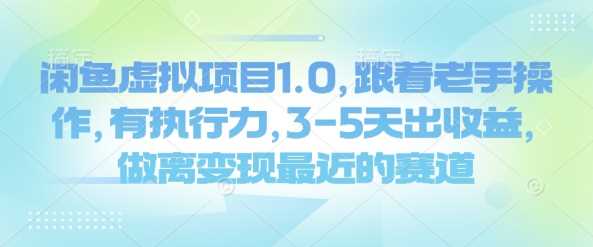 闲鱼虚拟项目1.0,跟着老手操作,有执行力,3-5天出收益,做离变现最近的赛道-大可网创