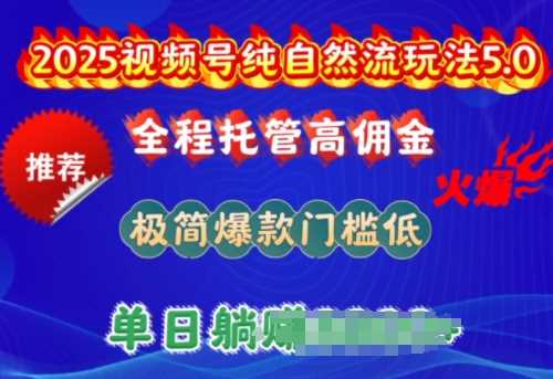 2025视频号纯自然流玩法5.0,全程托管高佣金,极简爆款门槛低,单日收益多张【揭秘】-大可网创