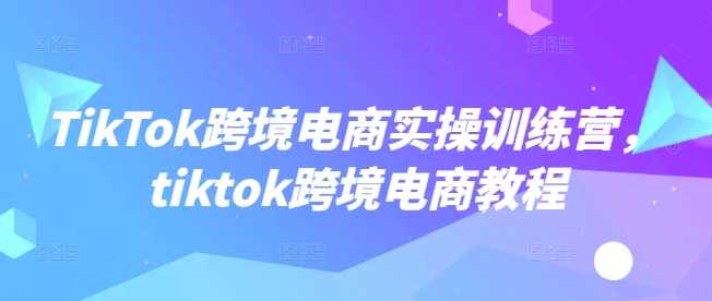 TikTok跨境电商实操训练营,tiktok跨境电商教程-大可网创