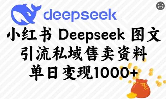 小红书Deepseek图文引流私域售卖资料,单日变现多张-大可网创