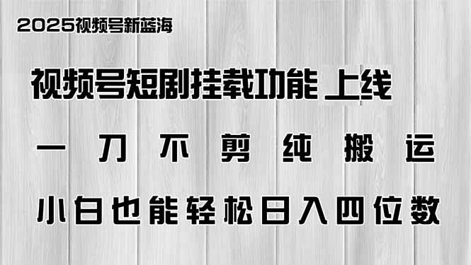 (14310期)视频号短剧挂载功能上线,一刀不剪纯搬运,小白也能轻松日入四位数-大可网创