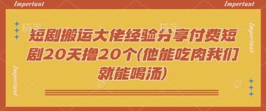 短剧搬运大佬经验分享付费短剧20天撸20个(他能吃肉我们就能喝汤)-大可网创