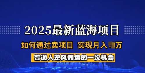 2025蓝海项目,普通人如何通过卖项目,实现月入过W,全过程【揭秘】-大可网创