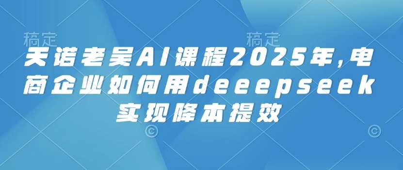 天诺老吴AI课程2025年,电商企业如何用deeepseek实现降本提效-大可网创