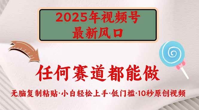 (14453期)2025年视频号新风口,低门槛只需要无脑执行-大可网创