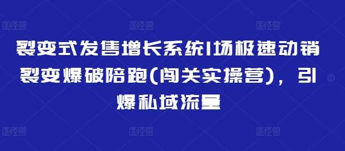 裂变式发售增长系统1场极速动销裂变爆破陪跑(闯关实操营),引爆私域流量-大可网创