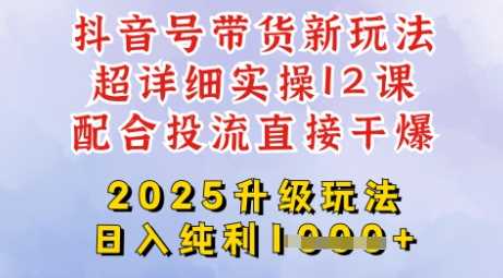 2025全新升级抖音带货玩法,一天纯利四位数,从剪辑到选品再到发布投流,超详细玩法揭秘-大可网创
