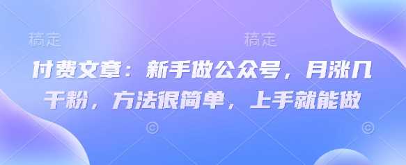 付费文章:新手做公众号,月涨几干粉,方法很简单,上手就能做-大可网创