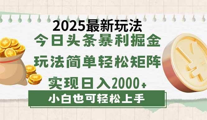 (14120期)今日头条2025最新玩法,思路简单,复制粘贴,轻松实现矩阵日入2000+-大可网创