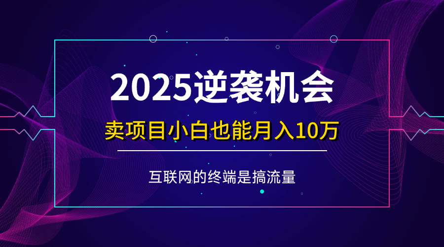 (14122期)项目标题:2025逆袭机会,卖项目小白也能轻松月入10万+-大可网创
