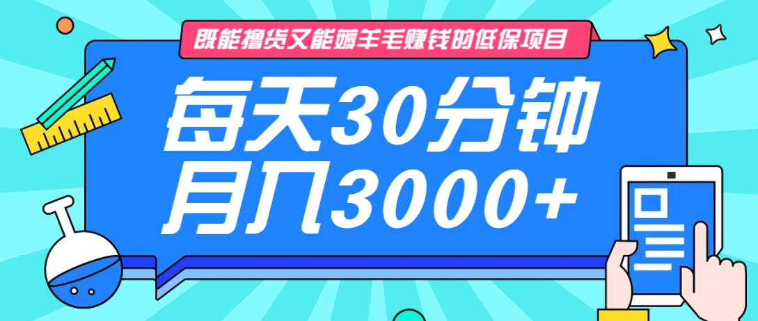 既能撸货又能赚钱的长期低保项目,每天30分钟,多号百分百稳定月入3000+!-大可网创