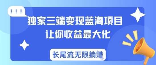 独家三端变现蓝海项目,让你收益最大化,长尾流无限躺挣-大可网创