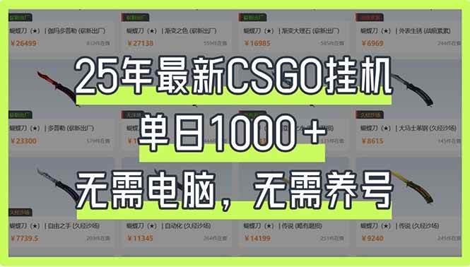 (14178期)25年最新CSGO挂机系统,单日1000+,无需电脑,无需养号,0基础可上手-大可网创