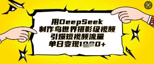 用DeepSeek制作鸟世界摄影级视频,引爆短视频流量,单日变现1k-大可网创