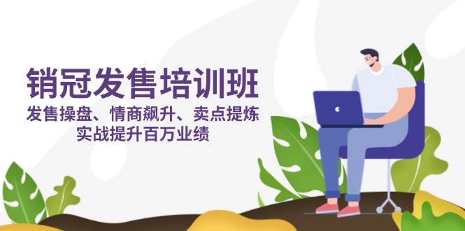 (14203期)销冠 发售培训班:发售 操盘+情商 飙升+卖点 提炼,实战提升百万业绩-大可网创