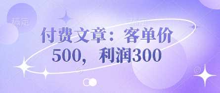 付费文章:客单价500,利润300-大可网创