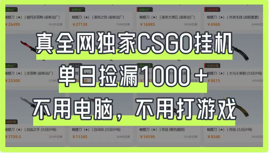 真全网独家CSGO挂机,单日捡漏1000+,不用电脑,不用养号-大可网创