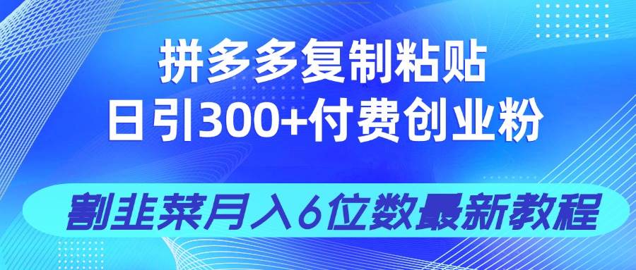 (14232期)拼多多复制粘贴日引300+付费创业粉,割韭菜月入6位数最新教程!-大可网创